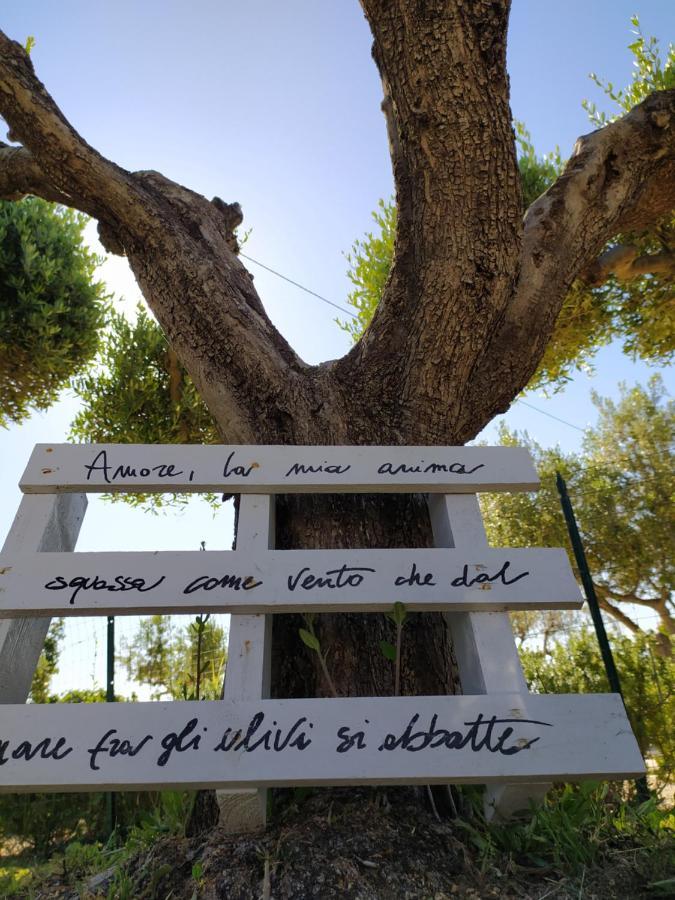 Relais Il Giardino Fra Gli Ulivi Βίλα Torino di Sangro Εξωτερικό φωτογραφία