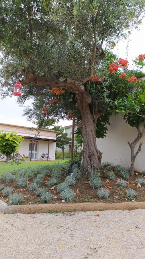 Relais Il Giardino Fra Gli Ulivi Βίλα Torino di Sangro Εξωτερικό φωτογραφία