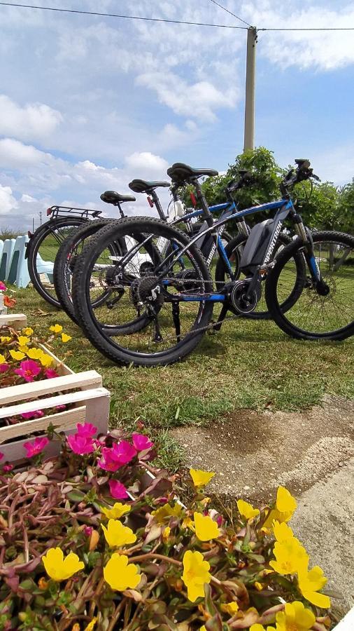 Relais Il Giardino Fra Gli Ulivi Βίλα Torino di Sangro Εξωτερικό φωτογραφία
