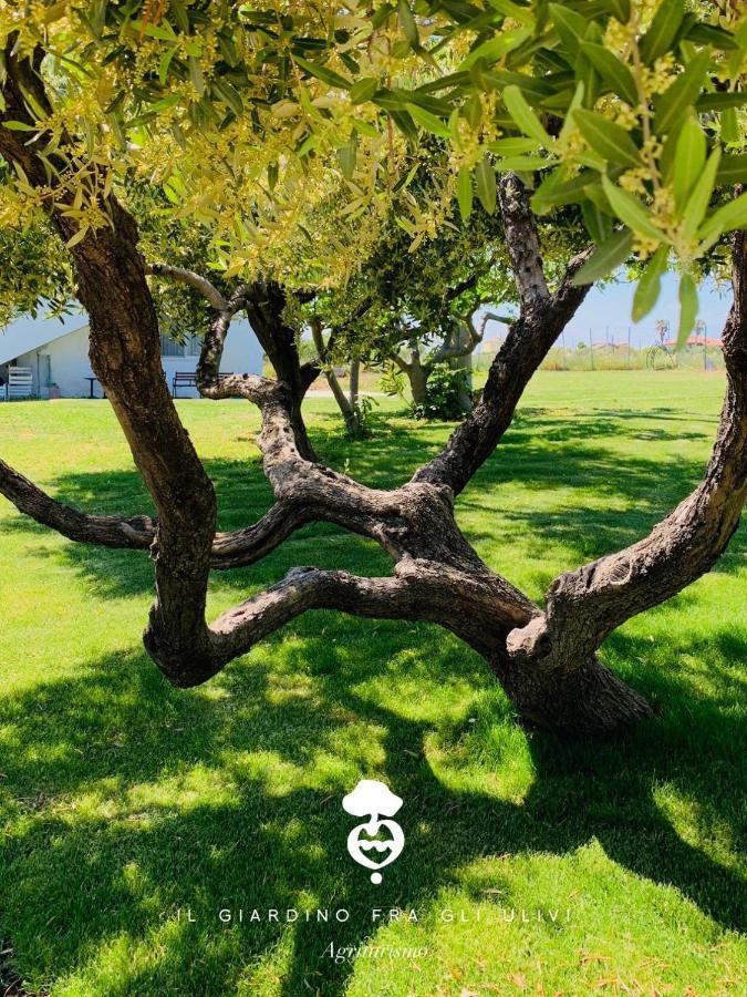 Relais Il Giardino Fra Gli Ulivi Βίλα Torino di Sangro Εξωτερικό φωτογραφία