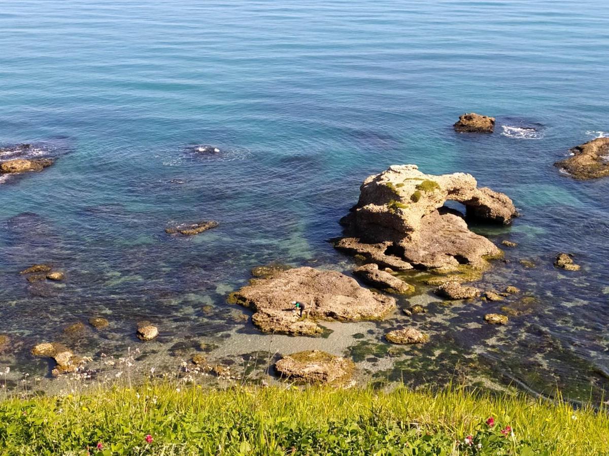 Relais Il Giardino Fra Gli Ulivi Βίλα Torino di Sangro Εξωτερικό φωτογραφία