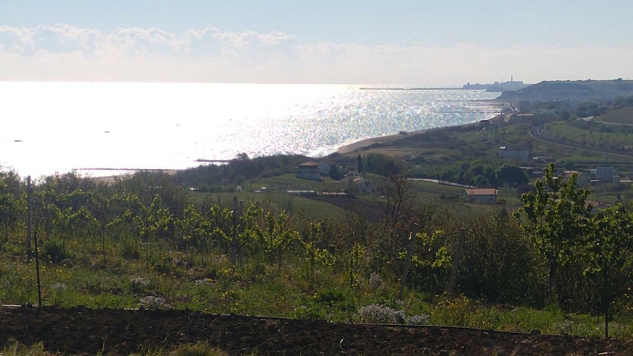 Relais Il Giardino Fra Gli Ulivi Βίλα Torino di Sangro Εξωτερικό φωτογραφία