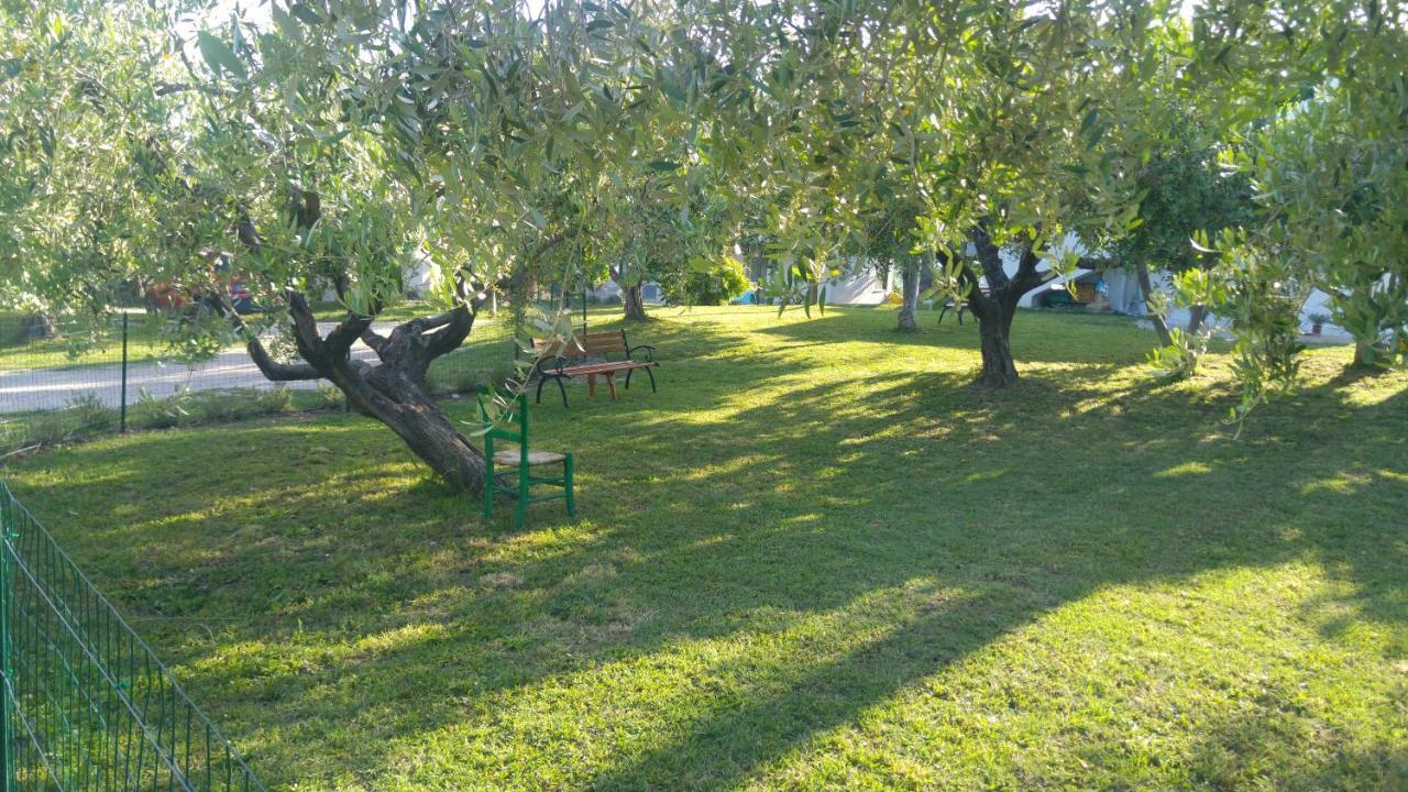 Relais Il Giardino Fra Gli Ulivi Βίλα Torino di Sangro Εξωτερικό φωτογραφία