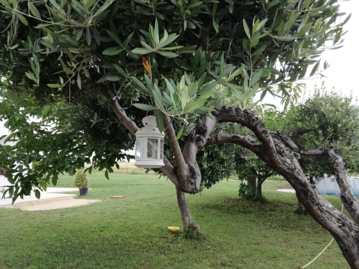 Relais Il Giardino Fra Gli Ulivi Βίλα Torino di Sangro Εξωτερικό φωτογραφία